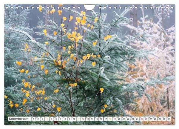 Produktbild: 12 Monate Natur (Wandkalender 2027 DIN A4 quer), CALVENDO Monatskalender