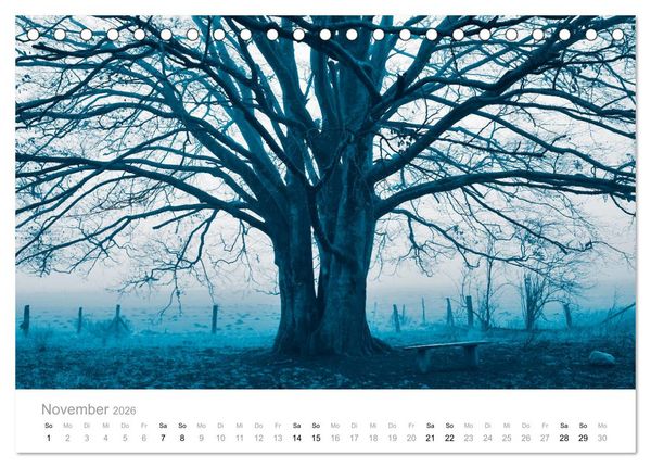 Produktbild: Farbrausch - die Welt in Pastell (Tischkalender 2026 DIN A5 quer), CALVENDO Monatskalender