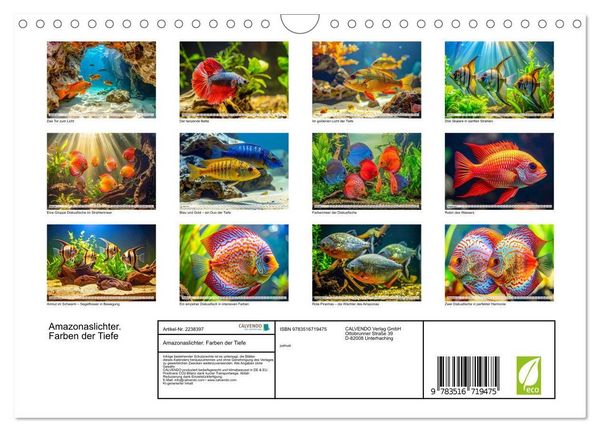 Produktbild: Amazonaslichter. Farben der Tiefe (Wandkalender 2026 DIN A4 quer), CALVENDO Monatskalender