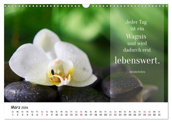 Produktbild: Lebensweisheiten, motivierende Spr&uuml;che und kluge Zitate mit Bildern der Natur (Wandkalender 2026 DIN A3 quer), CALVENDO Monatskalender