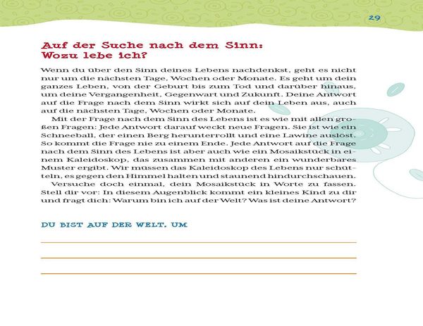 Produktbild: Woher, wohin, was ist der Sinn?