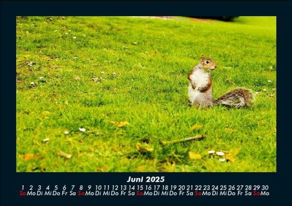 Produktbild: London - Impressionen 2025 Fotokalender DIN A5