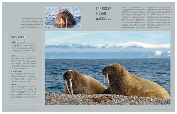 Bildbände/illustrierte Bücher Gigantisch
