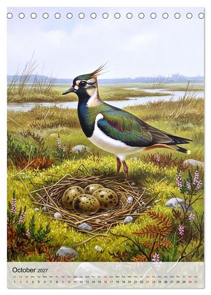 Produktbild: Birds of Europe in Old Paintings (Desk Calendar 2027 DIN A5 portrait), CALVENDO 12 Month DeskCalendar