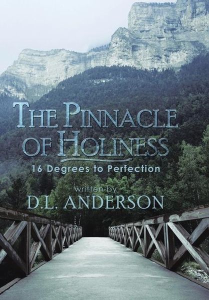 Produktbild: The Pinnacle of Holiness