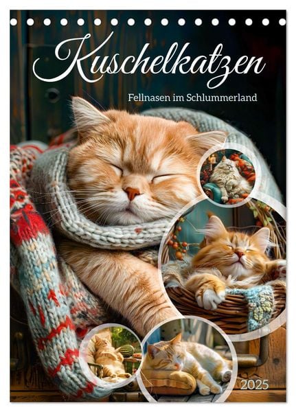 Kuschelkatzen - Fellnasen im Schlummerland (Tischkalender 2025 DIN A5 hoch), CALVENDO Monatskalender