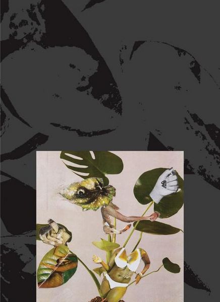Produktbild: Kandis Williams: A Surface