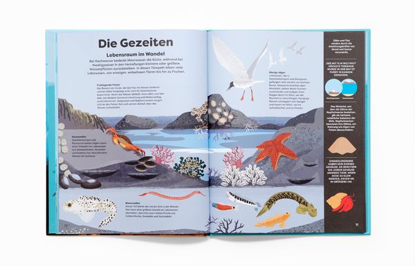 Produktbild: Unter der Lupe: Ozeane