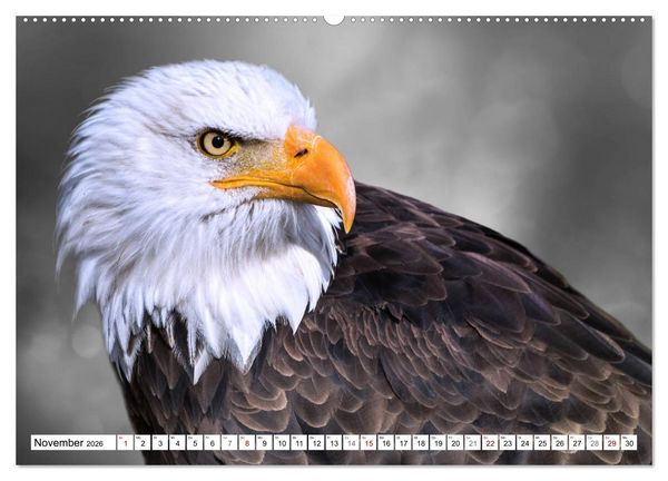 Produktbild: Erfolgreiche J&auml;ger (Wandkalender 2026 DIN A2 quer), CALVENDO Monatskalender