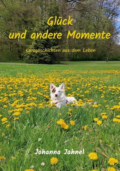 Produktbild: Gl&uuml;ck und andere Momente