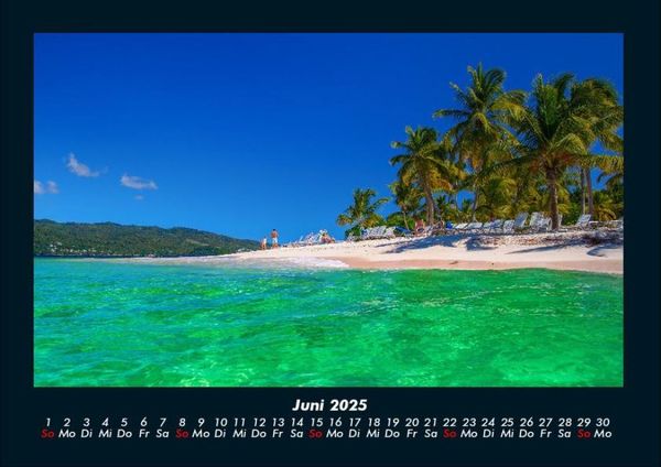 Produktbild: Palmen 2025 Fotokalender DIN A4