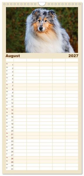 Produktbild: Familienplaner 2027 - Faszinierende Rough Collies mit 5 Spalten (Wandkalender, 21 x 45 cm) CALVENDO