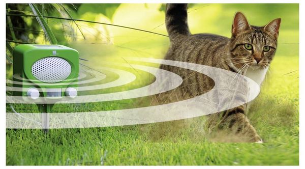 Produktbild: Swissinno Solar UTV Tiervertreiber Funktionsart Multifrequenz Wirkungsbereich 100m&sup2; 1St.