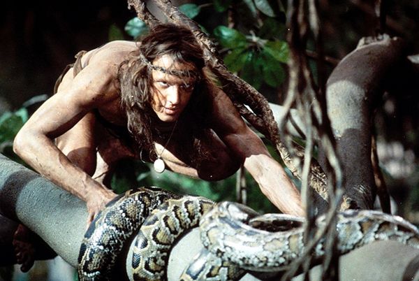 Produktbild: Greystoke - Die Legende von Tarzan, Herr der Affen - Mediabook (Blu-ray+DVD)