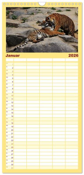 Produktbild: Familienplaner 2026 - Tiger mit 5 Spalten (Wandkalender, 21 x 45 cm) CALVENDO
