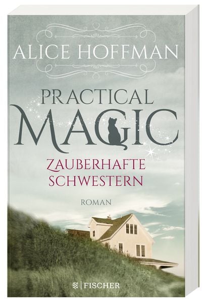 Produktbild: Practical Magic. Zauberhafte Schwestern