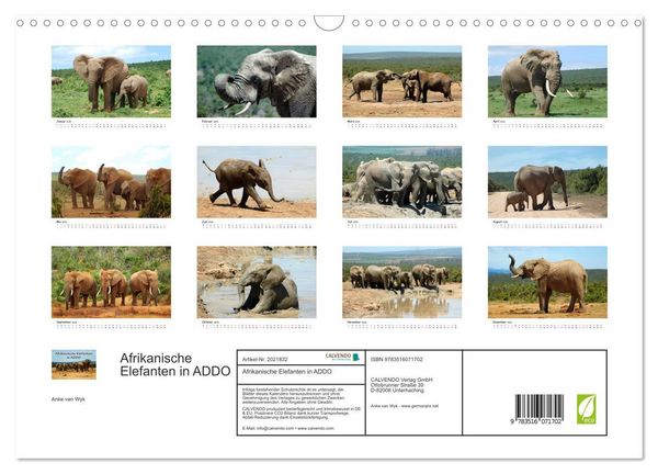 Produktbild: Afrikanische Elefanten in ADDO (Wandkalender 2026 DIN A3 quer), CALVENDO Monatskalender