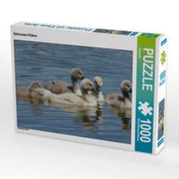 CALVENDO Puzzle Schwanen Küken 1000 Teile Lege-Größe 64 x 48 cm Foto-Puzzle Bild von Kattobello