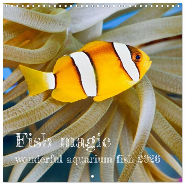 Produktbild: Fish magic (Wall Calendar 2026 12 &times; 12 Inch) CALVENDO 12 Month Wall Calendar