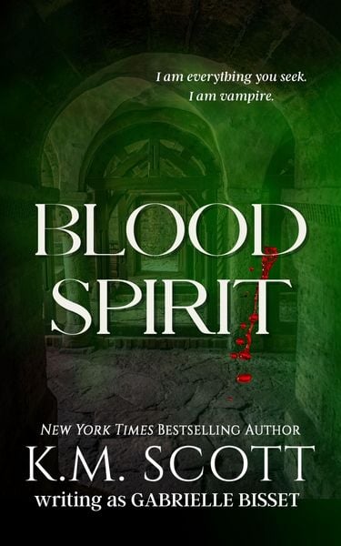 Produktbild: Blood Spirit (Sons of Navarus, #3)
