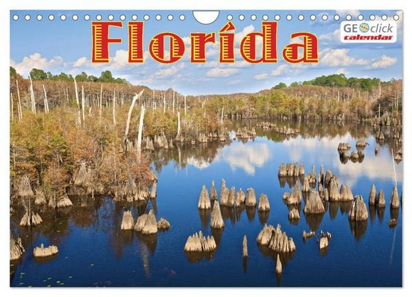 Produktbild: GEOclick calendar: Florida (Wandkalender 2026 DIN A4 quer), CALVENDO Monatskalender