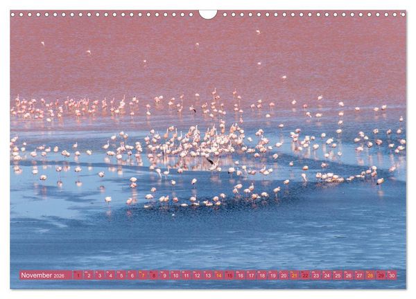 Produktbild: Farbenfrohes Bolivien (Wandkalender 2026 DIN A3 quer), CALVENDO Monatskalender