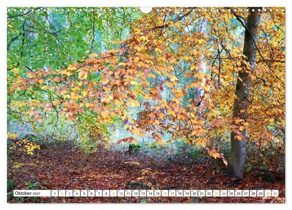 Produktbild: 12 Monate Natur (Wandkalender 2027 DIN A3 quer), CALVENDO Monatskalender