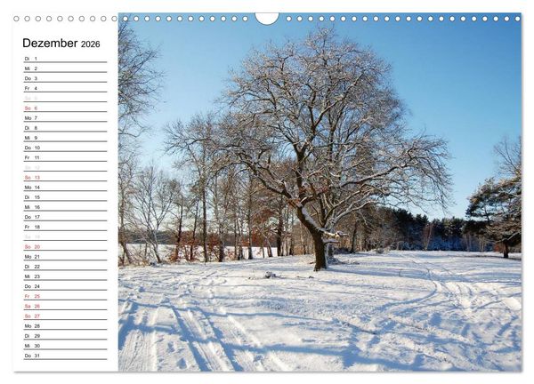 Produktbild: Vier Jahreszeiten im Land Brandenburg (Wandkalender 2026 DIN A3 quer), CALVENDO Monatskalender