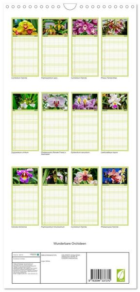 Produktbild: Familienplaner 2027 - Wunderbare Orchideen mit 5 Spalten (Wandkalender, 21 x 45 cm) CALVENDO