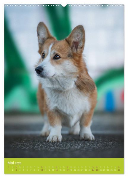 Produktbild: Graffiti Dogs Kunterbunt (hochwertiger Premium Wandkalender 2026 DIN A2 hoch), Kunstdruck in Hochglanz