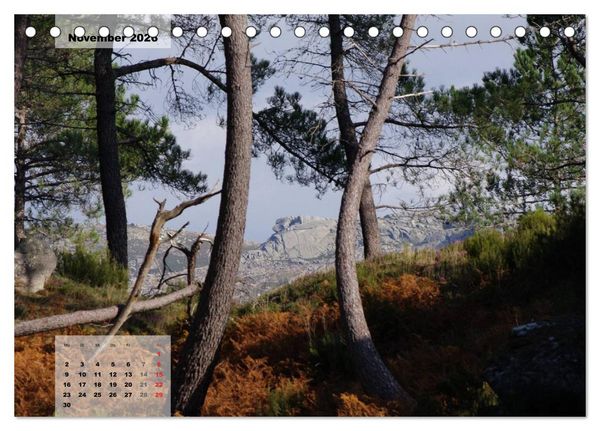 Produktbild: Nordportugal - Heimat der letzten wilden Pferde (Tischkalender 2026 DIN A5 quer), CALVENDO Monatskalender