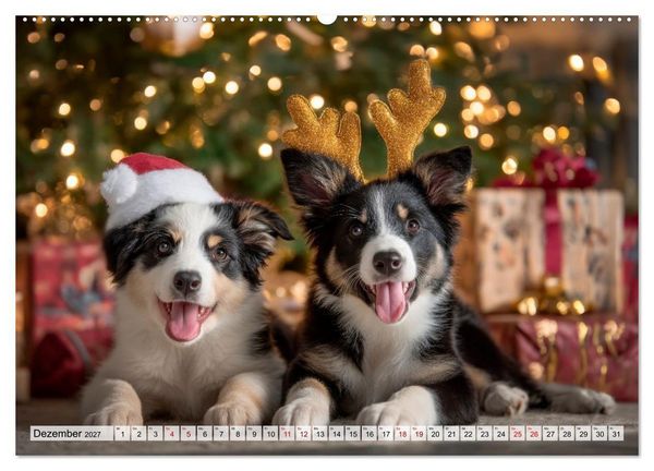 Produktbild: Border Collie - Magische Augenblicke (hochwertiger Premium Wandkalender 2027 DIN A2 quer), Kunstdruck in Hochglanz