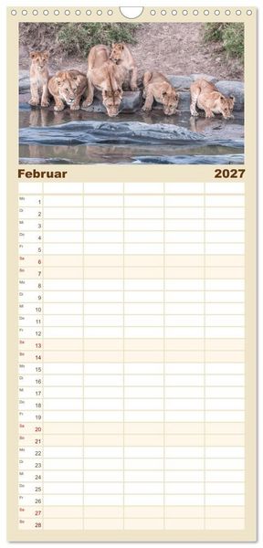 Produktbild: Familienplaner 2027 - L&ouml;wen - Raubkatzen Afrikas mit 5 Spalten (Wandkalender, 21 x 45 cm) CALVENDO