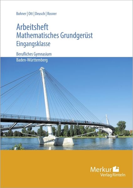 Mathematisches Grundgerüst. Arbeitsheft