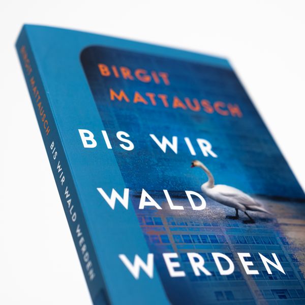 Produktbild: Bis wir Wald werden