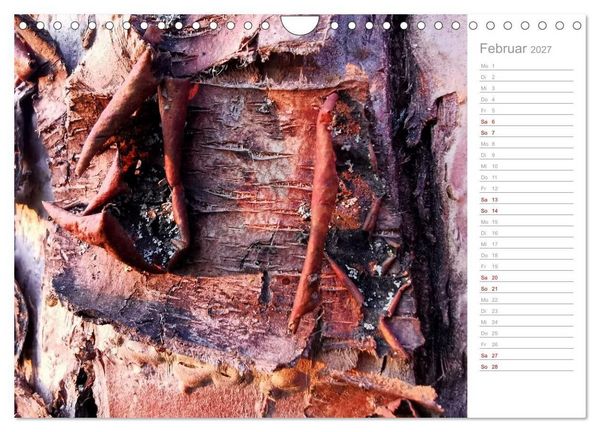 Produktbild: Abstrakte Umwelt (Wandkalender 2027 DIN A4 quer), CALVENDO Monatskalender