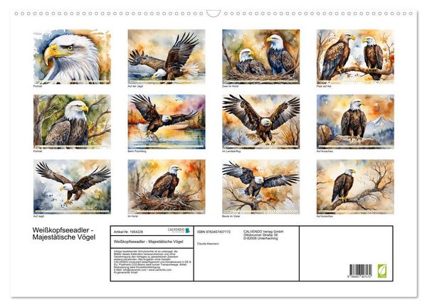 Produktbild: Wei&szlig;kopfseeadler - Majest&auml;tische V&ouml;gel (Wandkalender 2026 DIN A2 quer), CALVENDO Monatskalender