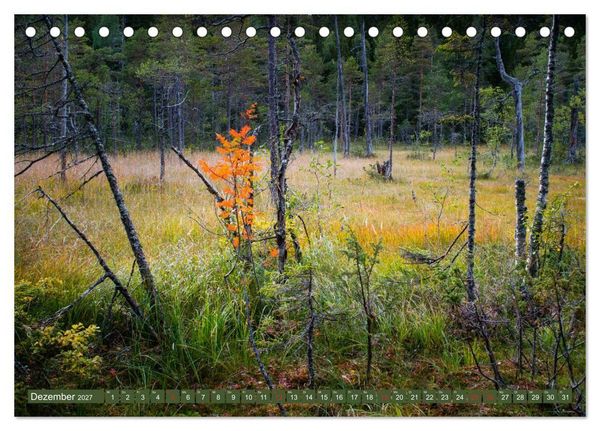 Produktbild: Wandern - In Norwegen und Schweden (Tischkalender 2027 DIN A5 quer), CALVENDO Monatskalender