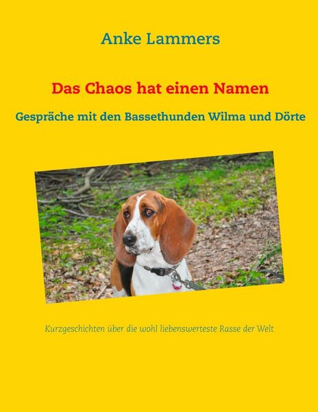 Produktbild: Das Chaos hat einen Namen
