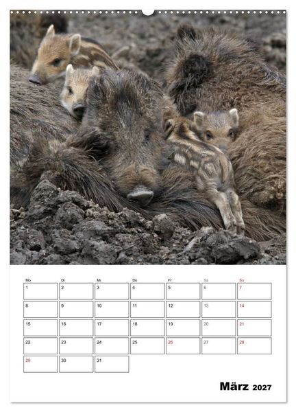 Produktbild: Der wildschweinische Terminplaner (hochwertiger Premium Wandkalender 2027 DIN A2 hoch), Kunstdruck in Hochglanz