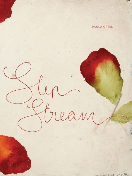Produktbild: Slip Stream