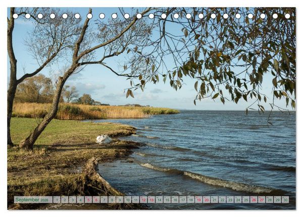 Produktbild: Mecklenburg Vorpommern - Wasser und Meer (Tischkalender 2026 DIN A5 quer), CALVENDO Monatskalender