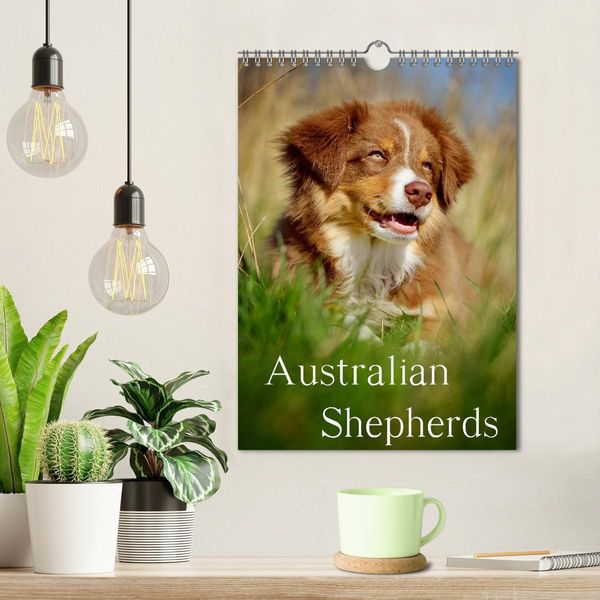 Produktbild: Australian Shepherds (Wandkalender 2026 DIN A4 hoch), CALVENDO Monatskalender