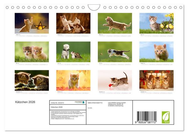 Produktbild: K&auml;tzchen 2026 (Wandkalender 2026 DIN A4 quer), CALVENDO Monatskalender