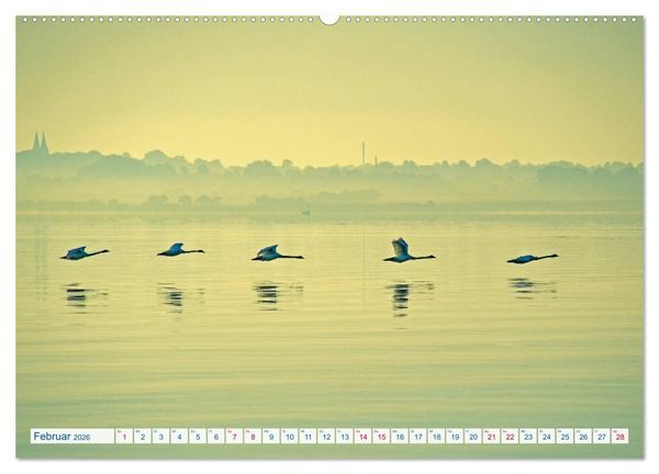 Produktbild: Flensburg Fjord (Wandkalender 2026 DIN A2 quer), CALVENDO Monatskalender