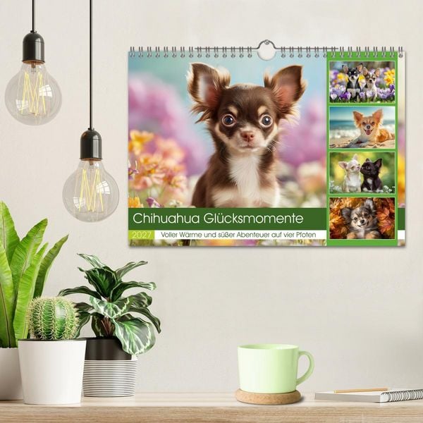 Produktbild: Chihuahua Gl&uuml;cksmomente (Wandkalender 2027 DIN A4 quer), CALVENDO Monatskalender