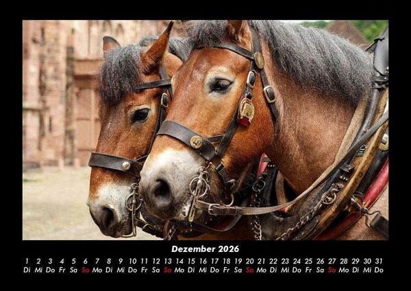 Produktbild: Pferdetraum 2026 Fotokalender DIN A3