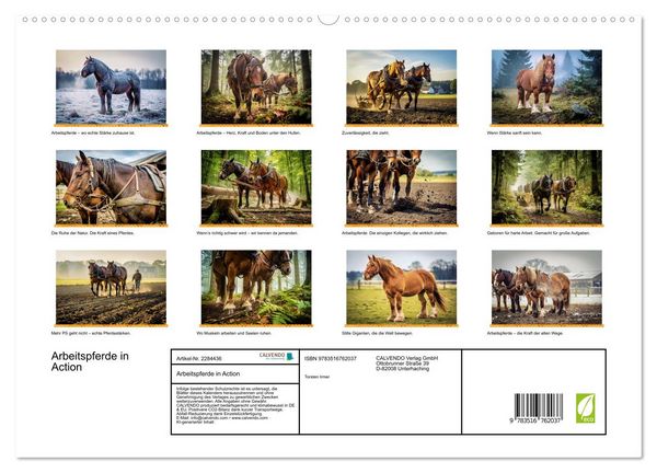 Produktbild: Arbeitspferde in Action (hochwertiger Premium Wandkalender 2027 DIN A2 quer), Kunstdruck in Hochglanz