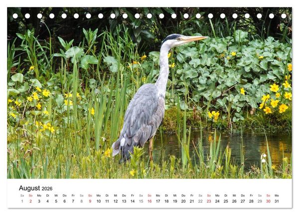 Produktbild: Paradies Naturgarten (Tischkalender 2026 DIN A5 quer), CALVENDO Monatskalender