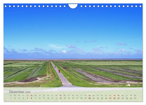 Produktbild: Salzwiesen, Schafe und Watt - Westerhever, ein Naturparadies an der Nordsee (Wandkalender 2026 DIN A4 quer), CALVENDO Monatskalender